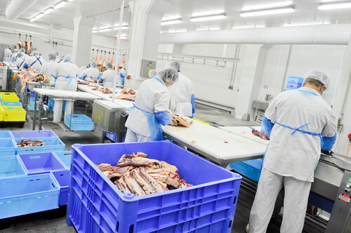 Meat plants must practice good hygiene and cleanliness efforts.