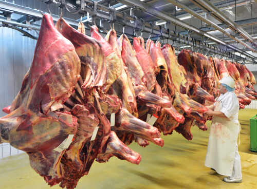 Employees at meat facilities must wear the right attire on the floor. 