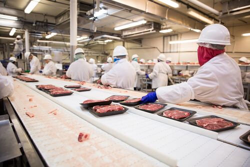 Meat processing plant workers must have the proper attire.