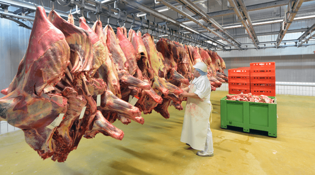 Benefits of Buying Meat in Bulk